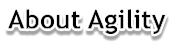 About Agility