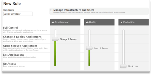 Agile Platform - Roles