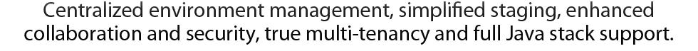 agile-platform-7-description