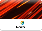 Custom Toll Management System to Consolidate all Billing Information - Brisa