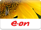 Automating Imbalance Validation processes to reduce financial risk - e.on