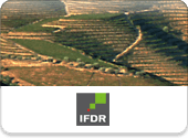 Custom System for the Audit and Control of European Union Funds - IFDR