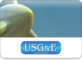 USGE