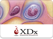 Clinical Trials Data Analysis Solution for Biotech Startup - XDx