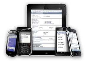 mobile web application development 