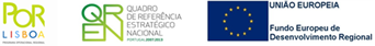 Programa QREN