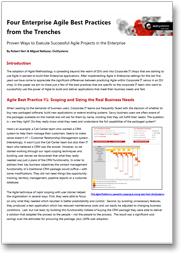 Download Enterprise Agile Best Practices White Paper