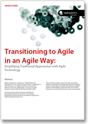 Download Agile Methodologies White Paper