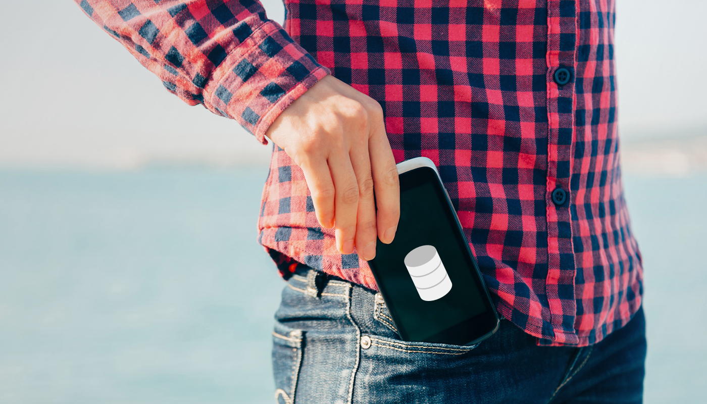 Offline - Off the Grid - A Database in Your Pocket