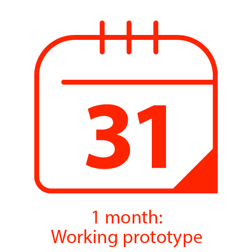 1 month: Working prototype