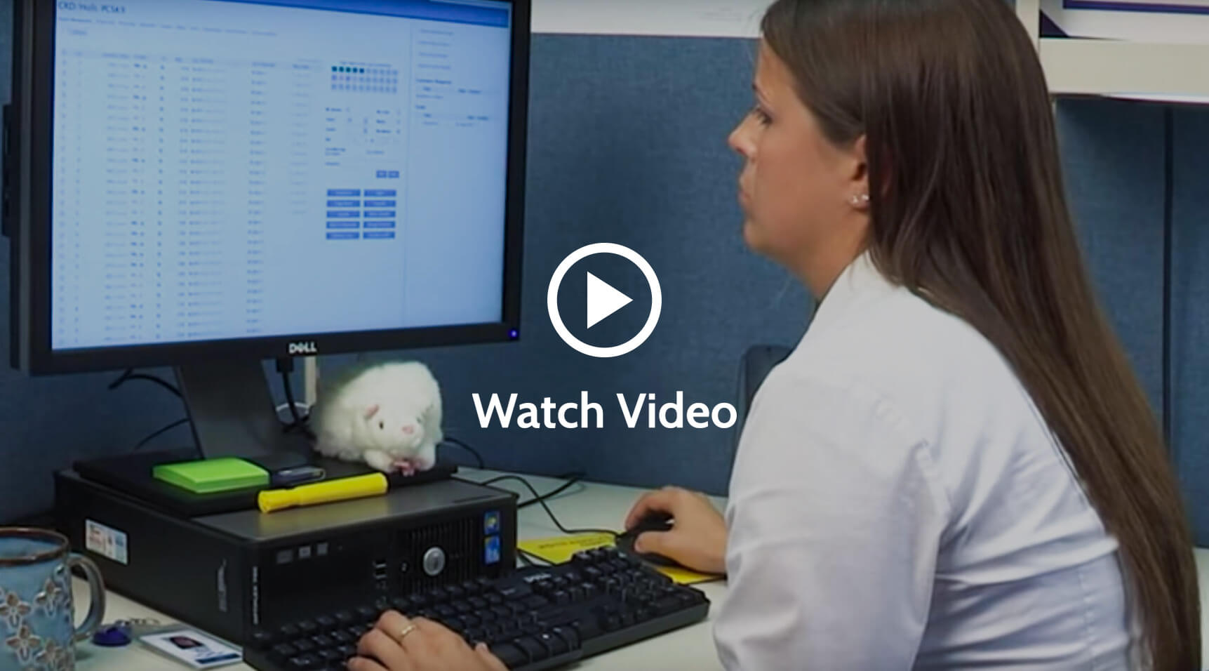 Charles River - Internet Colony Management