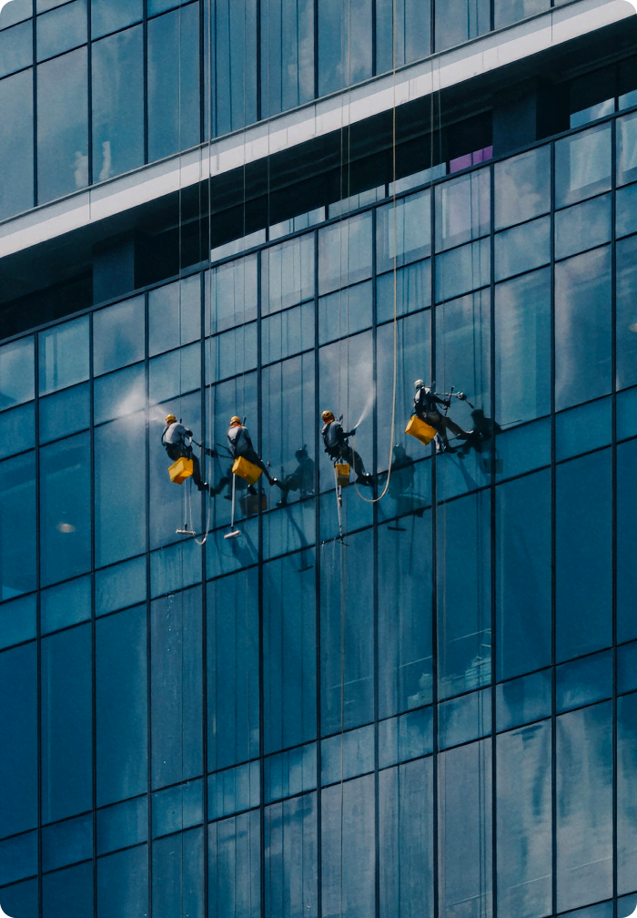 iris group