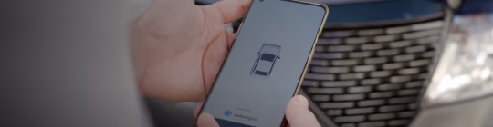 fidelidade-video-hcard