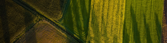 olam-group-video-hcard-540x140