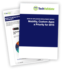 mobility, custom apps a priority for 2015 report