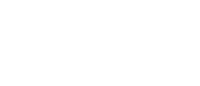 BPL Global