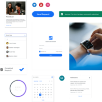 Front-end consultancy