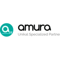 AMURA INFORMATION TECHNOLOGIES SL.