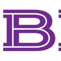 United Computer and Management Consultancy Company (GBM Dubai)