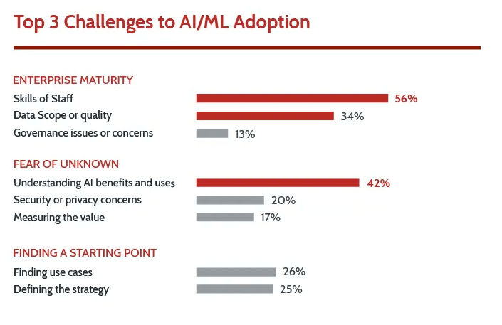 Challenges to AI ML adoption