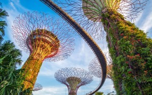 singapore-nric-fin-validator
