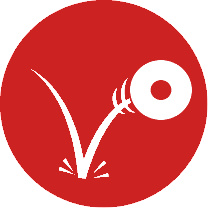 animations-reactive