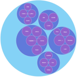 circle-packing-chart