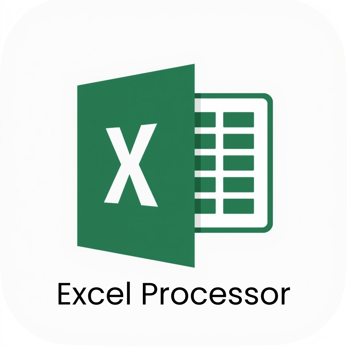 ExcelProcessor
