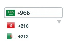 international-phone-number