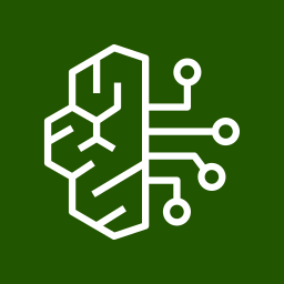 AWS Bedrock Model Invocations