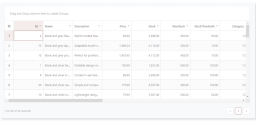 datagridcustompagination