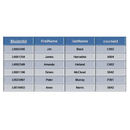 jsondynamictablebuilder