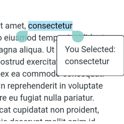 selected-text-mobile