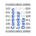 common-lookup-data