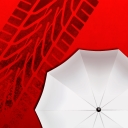 car-accident-reporting