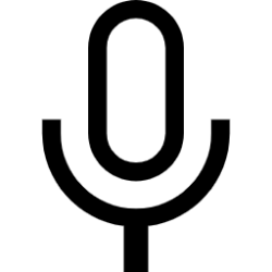 voice-input