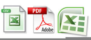 xls-pdf-csv-sample-report