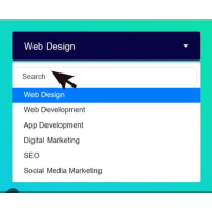 multi-select-drop-down-search