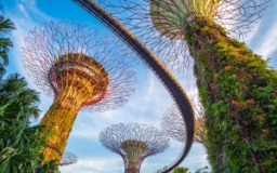 singapore-nric-fin-validator