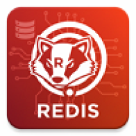 redis-service