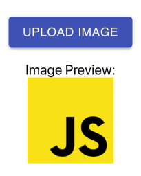 upload-and-display-profile-image