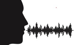 voice-search