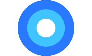 google-icon
