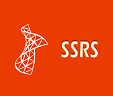 ssrs-report-viewer-extension