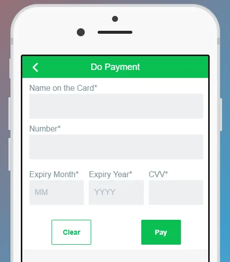 Credit or debit