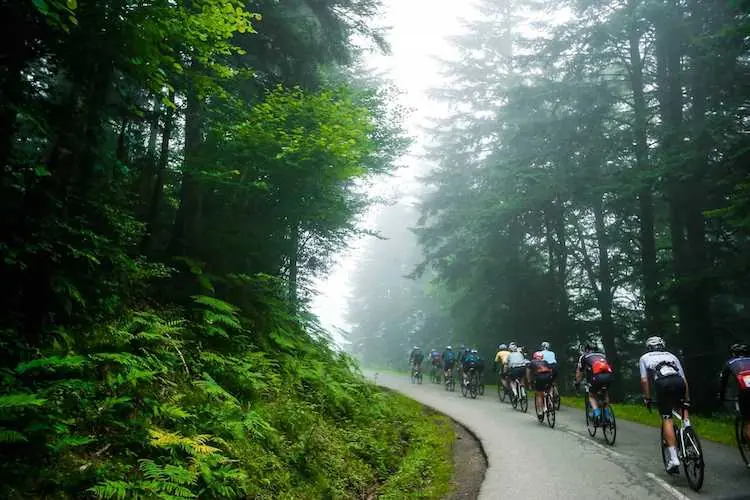 A group of cyclists in Col de Marie Blanc, the last climb