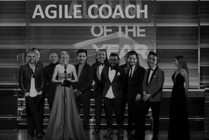 A montage of Cristiana's team at the Grammy's or should we say at the Agile Coach of the Year Awards?