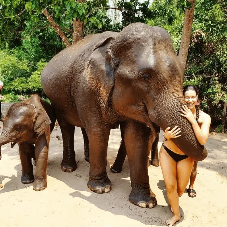 Sara hugging an elephant in Thailand.
