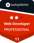 Professional Traditional Web Developer - O11