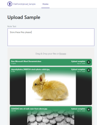 Asset screenshot_0